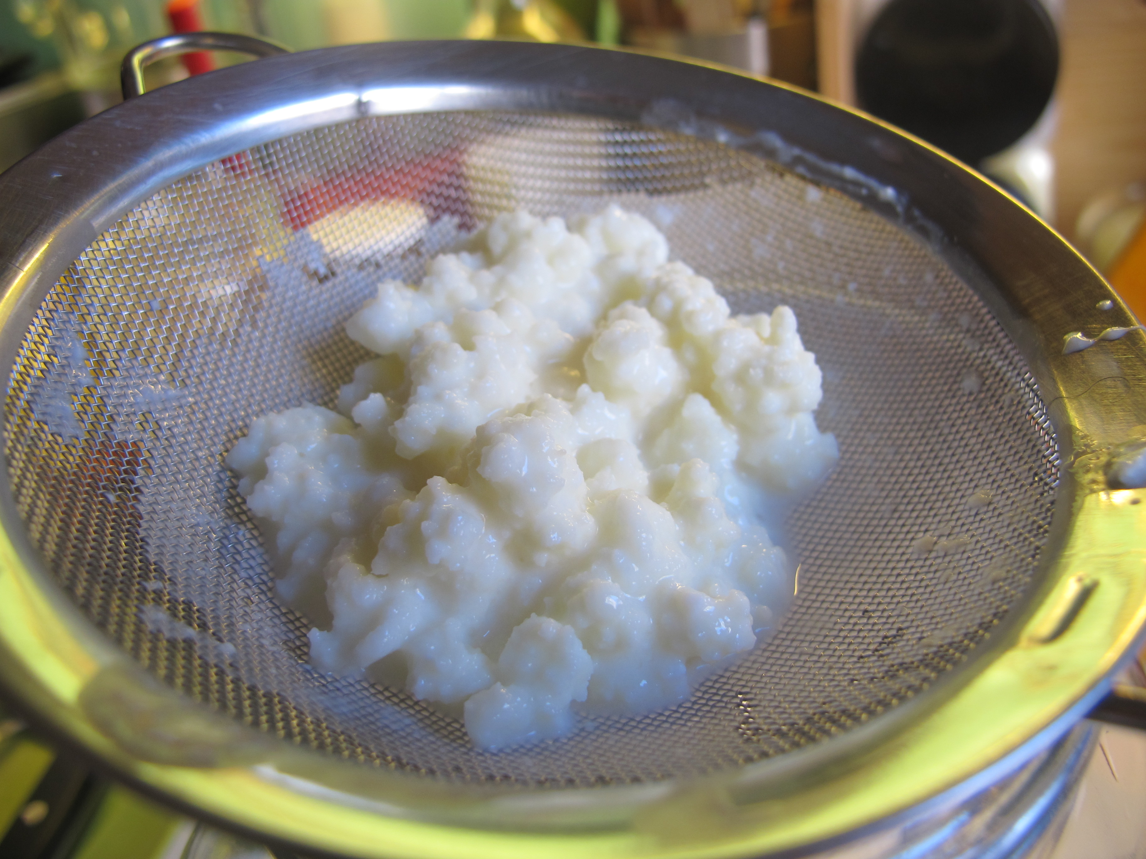 How to make milk kefir (and why you should!)